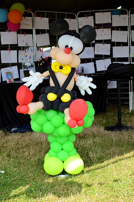 Festival anim
